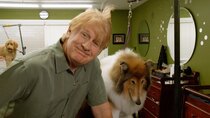 It's a Dog's Life With Bill Farmer - Episode 3 - Mascot Dogs & Guide Dogs for Runners