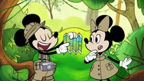 Mickey Go Local - Episode 4 - Rainforest Hunt