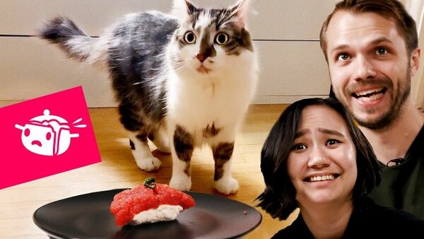 Eating Your Feed - S03E01 - We Tried To Make Sushi For Our Cats