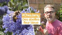 Chez Jamy - Episode 2