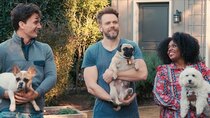 Barkitecture - Episode 1 - Joel McHale: The Animal House