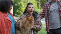 Barkitecture - Episode 2 - Kyle Richards: Real Housedogs of Beverly Hills