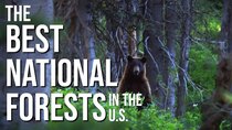 Rock the Park - Episode 24 - Best of National Forests