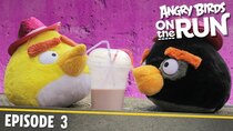 Angry Birds on The Run - Episode 3 - Baby's Shaky Ride