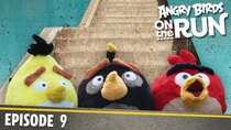Angry Birds on The Run - Episode 9 - The Stairs Challenge
