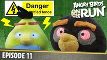 Angry Birds on The Run - Episode 11 - Zapped Chuck