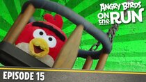 Angry Birds on The Run - Episode 15 - Red's Playtime!