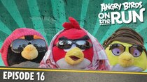 Angry Birds on The Run - Episode 16 - Fashion Show