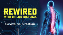 Rewired - Episode 4 - Survival vs. Creation