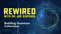Rewired - Episode 8 - Building Quantum Coherence