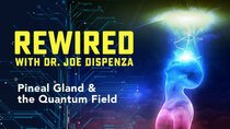 Rewired - Episode 10 - Pineal Gland & the Quantum Field