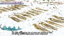 Cool Japan - Episode 4 - Guide books