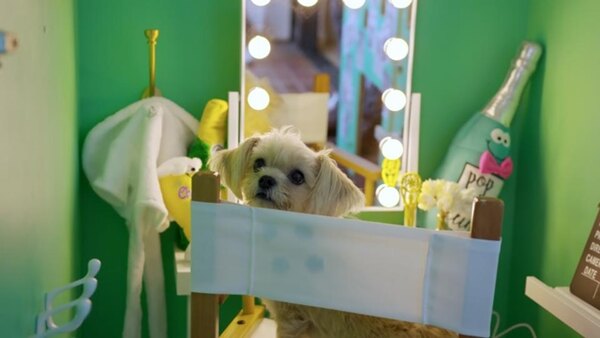 Barkitecture - S01E05 - Lilly Singh: Hollywood Poodle Pad
