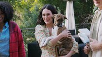 Barkitecture - Episode 7 - Rumer Willis: Canine Camper