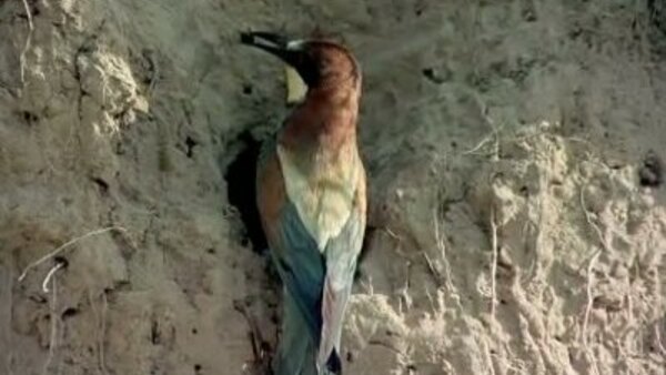 El hombre y la tierra Season 2 Episode 37