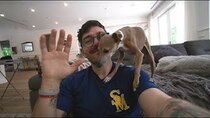 julien solomita - Episode 20 - my new show