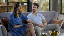 Married at First Sight (IL) - Episode 27 - Who are Still Together?