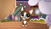 Littlest Pet Shop: A World of Our Own - Episode 1 - A Pet's Best Friend Is...