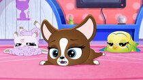 Littlest Pet Shop: A World of Our Own - Episode 6 - The Big Sleep-Over
