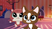 Littlest Pet Shop: A World of Our Own - Episode 19 - Crystal Fever