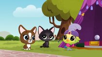 Littlest Pet Shop: A World of Our Own - Episode 21 - Fine, Feathered Fortune Teller