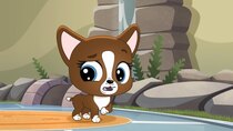 Littlest Pet Shop: A World of Our Own - Episode 41 - Surf and Turf Shindig