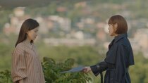 When My Love Blooms - Episode 16 - Ji-soo’s Birthday