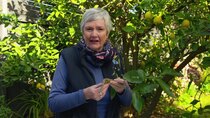 Gardening Australia - Episode 20