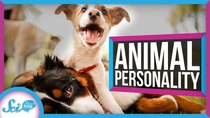 SciShow Psych - Episode 38 - Animal Personalities Are More Like Ours Than You Might Think