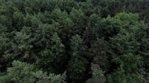 The Haunted Hunts - Episode 4 - Delamere Forest
