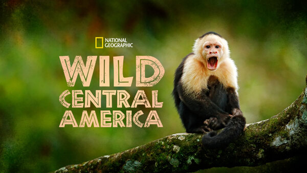 Wild Central America - S01E02 - Guatemala