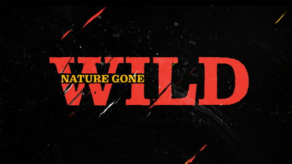 Nature Gone Wild - S01E06 - 