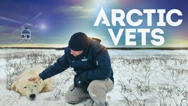 Arctic Vets - S01E03 - Beluga Scars, a Cracked Beak and Broken Polar Bear Teeth