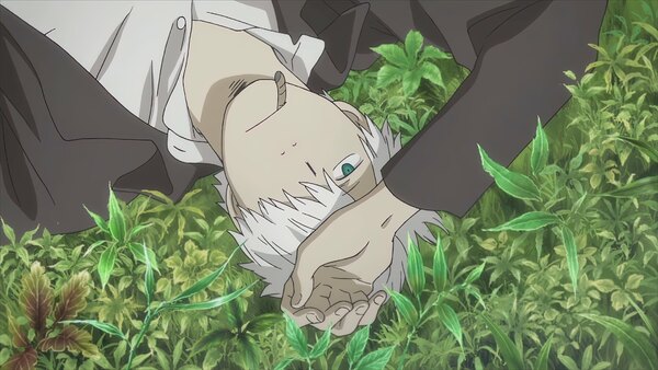 Mushishi Tokubetsu Hen: Hihamu Kage - Ep. 