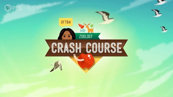 Crash Course Zoology - S01E01 - What is an Animal?