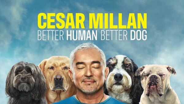 Cesar Millan: Better Human Better Dog - S04E08 - Unleashing Independence