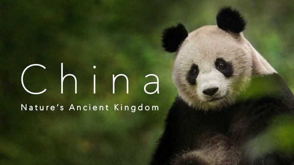 China: Nature's Ancient Kingdom - S01E03 - East: The Last Refuge