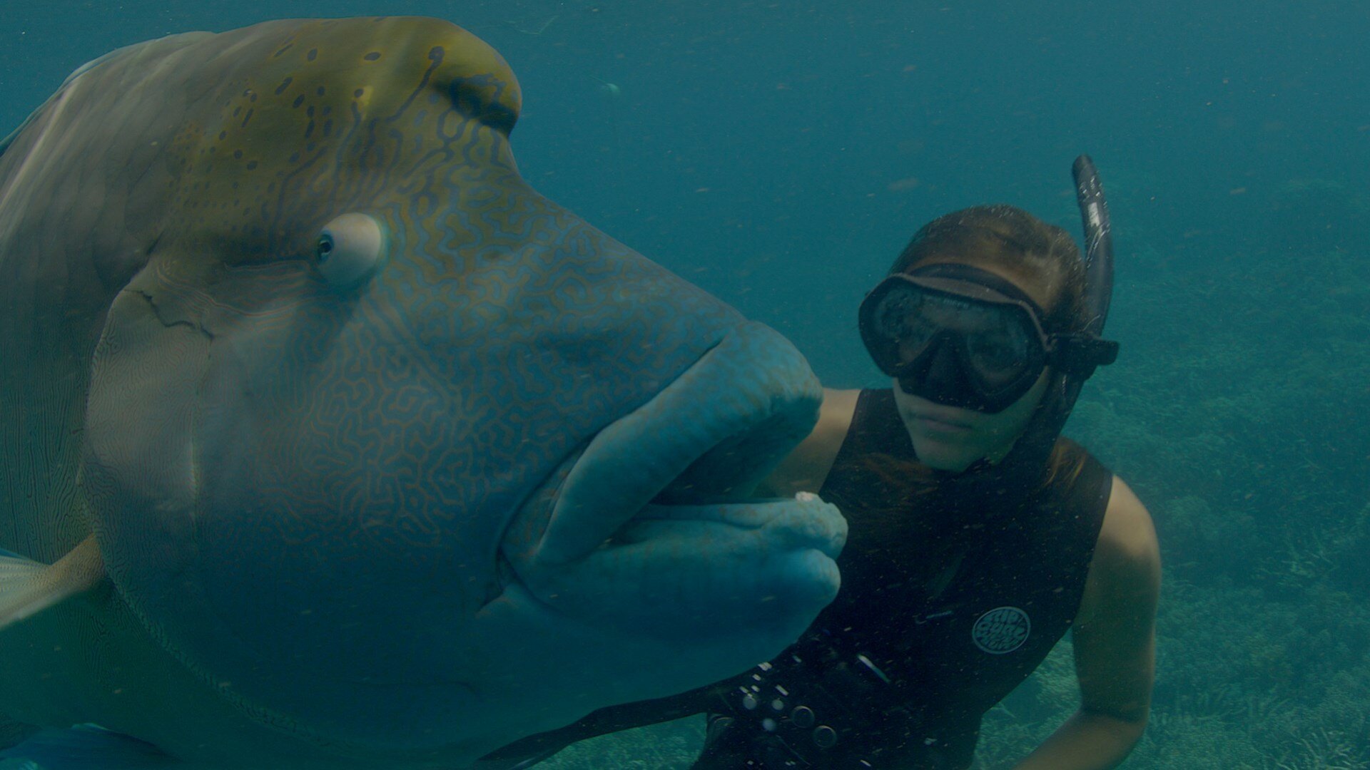 Deep Dive... countdown - how many days until the next episode