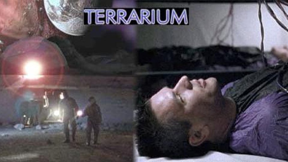 Terrarium (2003)