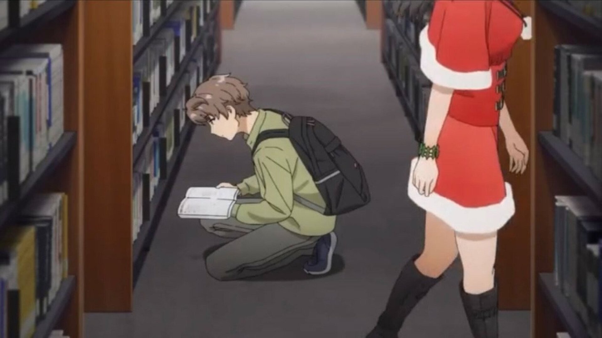 Anime Guide (Watch Order) (Rascal Does Not Dream of Bunny