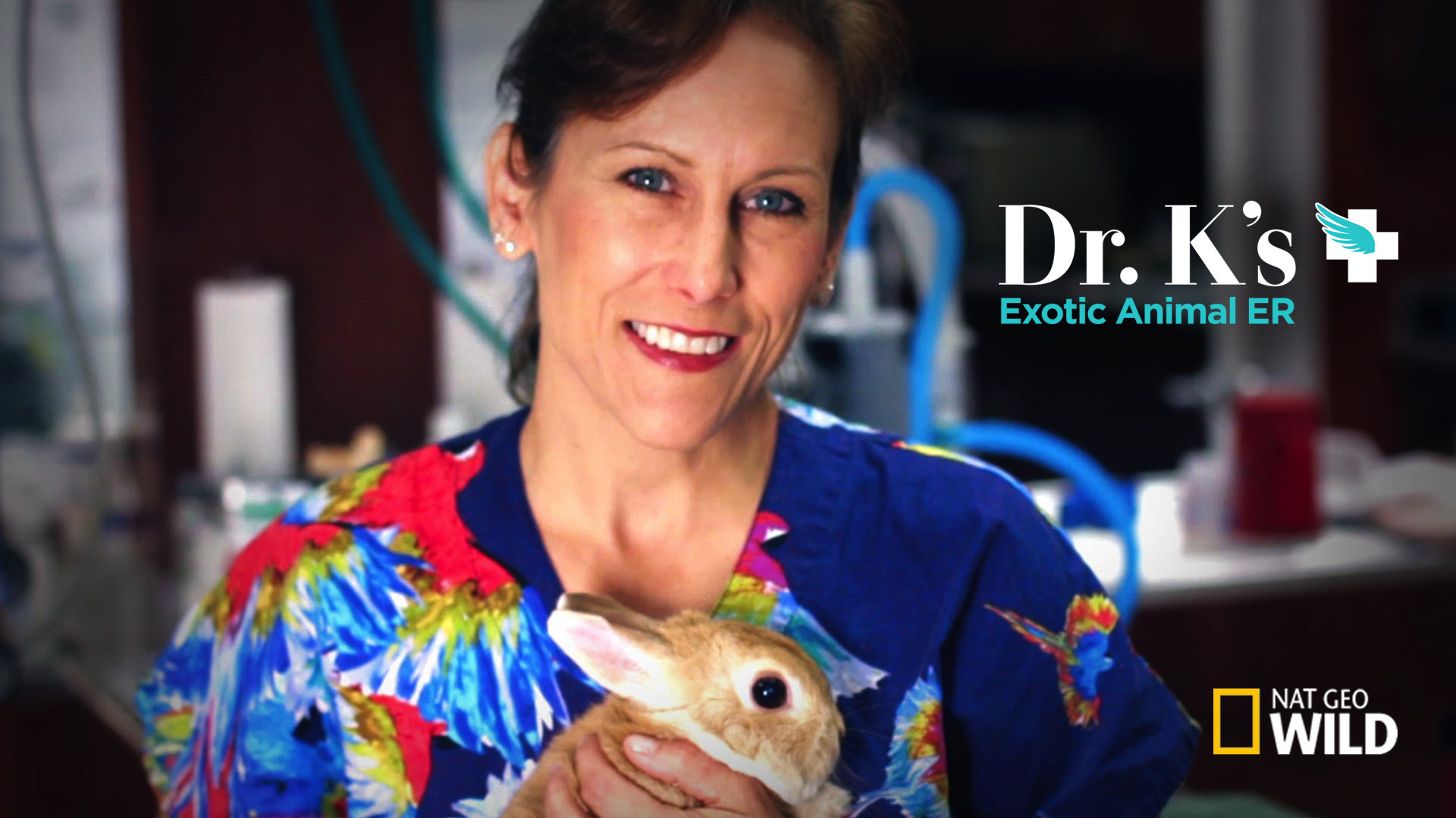Dr. K's Exotic Animal ER (TV Series 2014 Now)
