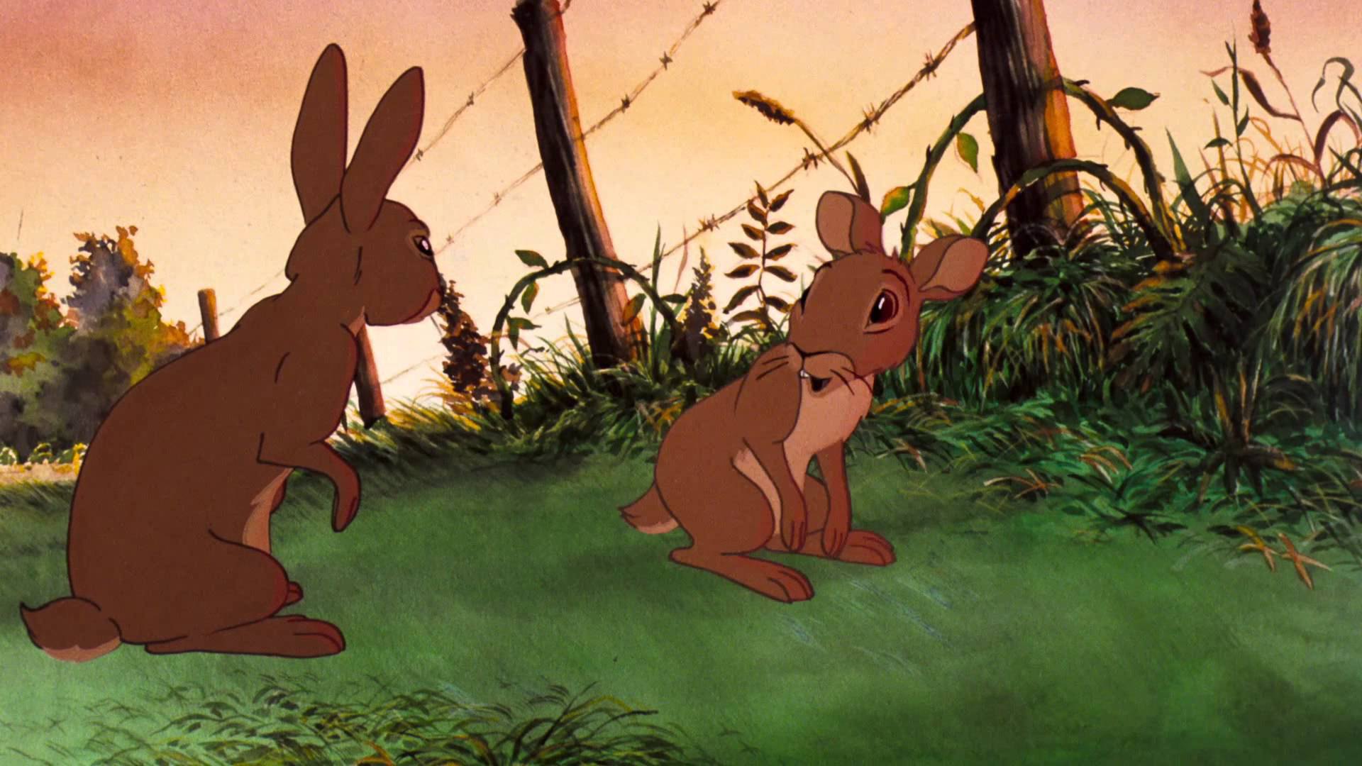 Watership Down (tv Series 1999 - 2001)