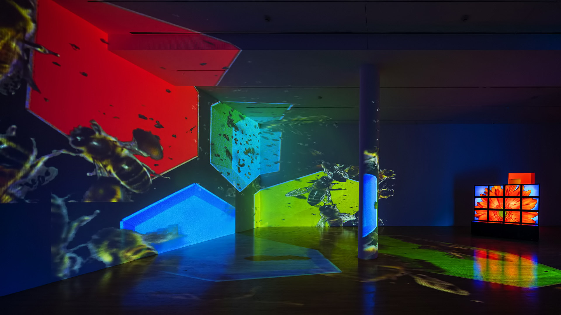 Art21 Art in the 21st Century countdown how many days until the