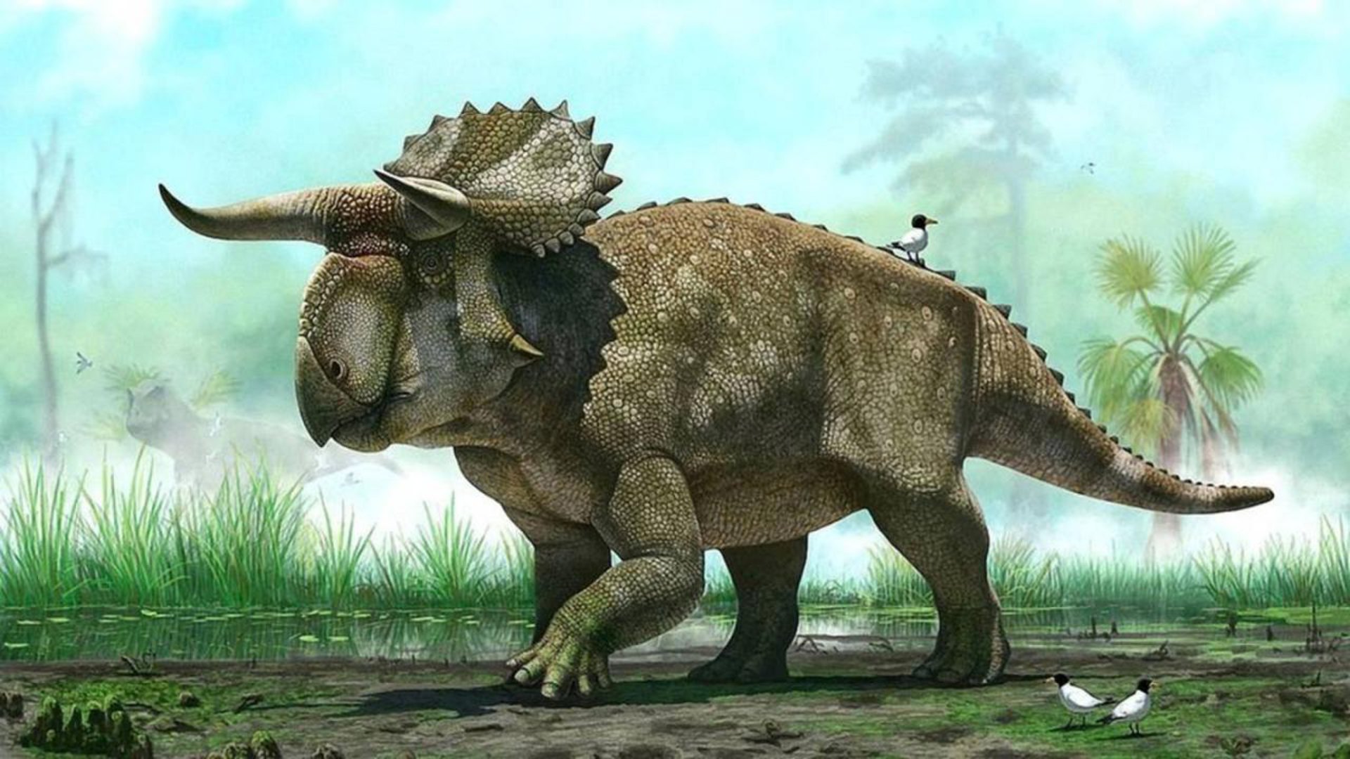 the story of the dinosaurs in 25 discoveries