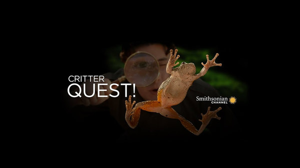 Critter Quest - S01E01 - Insects & Amphibians