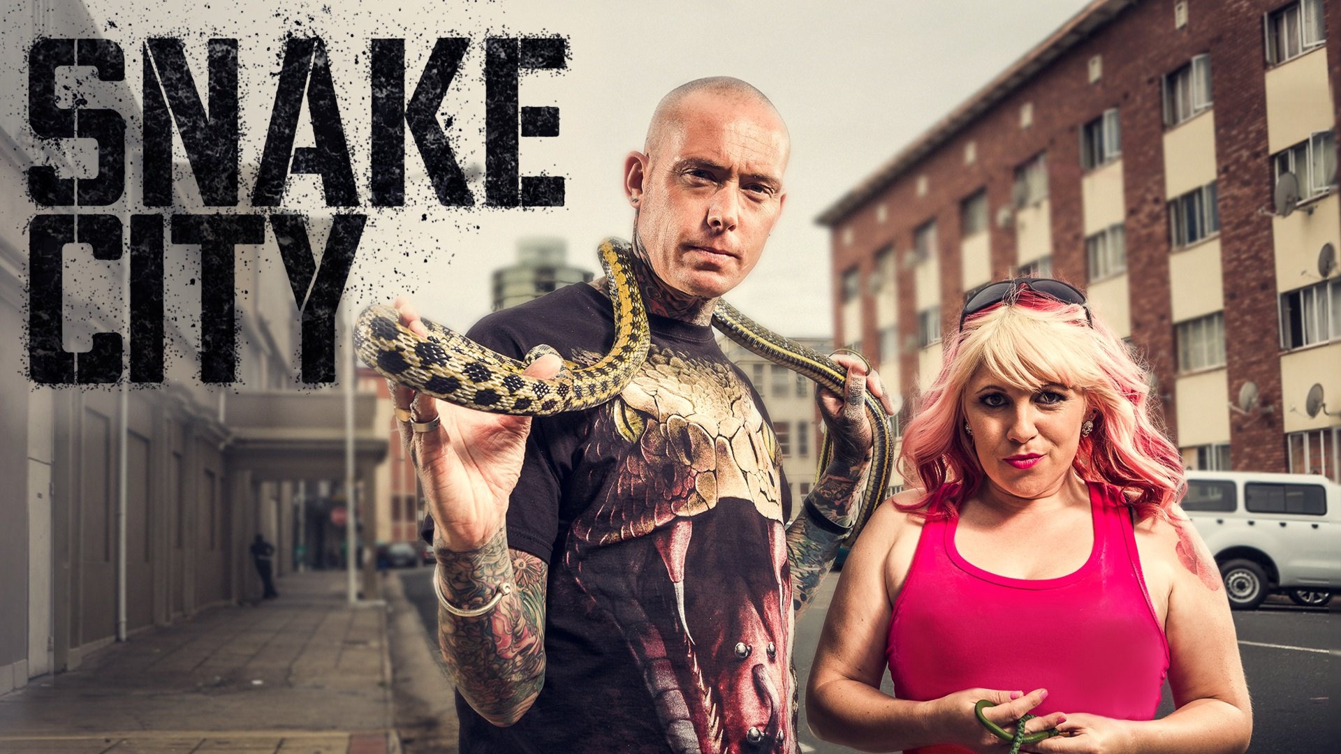 Snake City (TV Series 2014 Now)