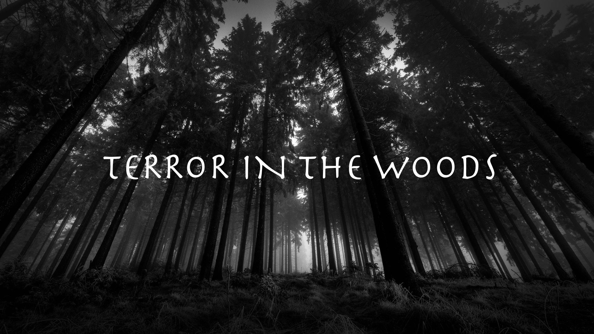 These Woods are Haunted episodes (TV Series 2017 - Now)