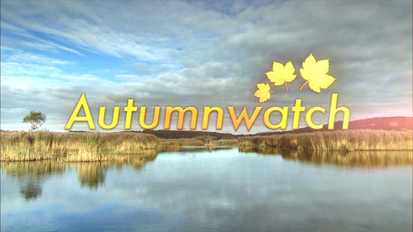 Autumnwatch - S2020E05 - 