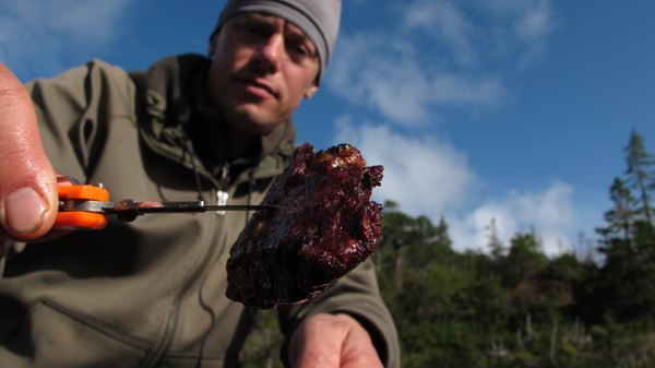MeatEater - S09E10 - Alaska Moose: The Guide Life