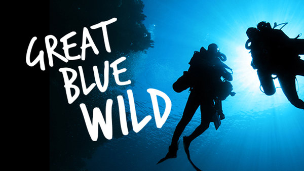 Great Blue Wild - S03E01 - Manta Mystery